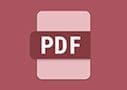 Icône PDF de Workflow Central